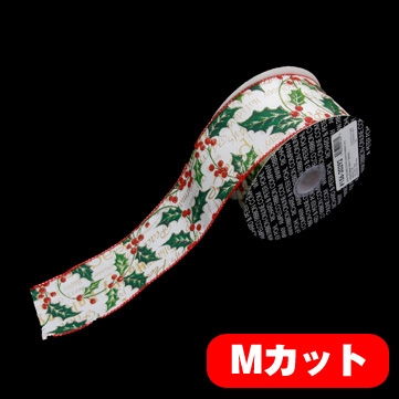 ホリーピック アイボリー 巾6cm Mカット