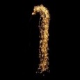 クラリスフラッシュ130 ゴールド