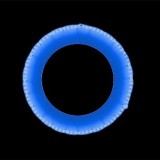 関連商品