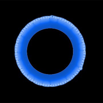 ルミナスリング26　ブルー