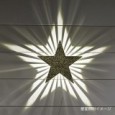 レイズスター