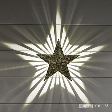 レイズスター
