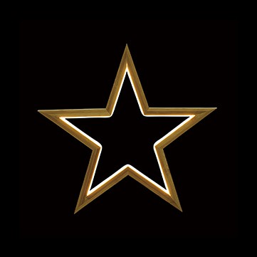 バンブースターライト35