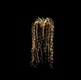 クラリスフラッシュ130 ゴールド
