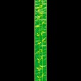 プルシュリンク ライムグリーン 巾6cm 9M巻