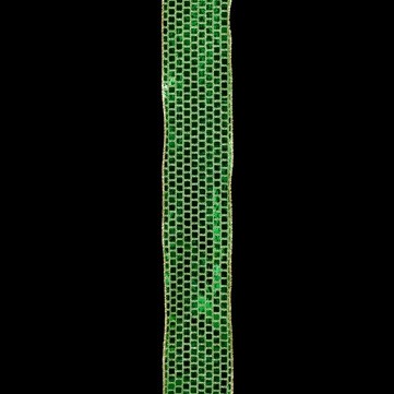 アリゲーター グリーン 巾7.5cm 9M巻