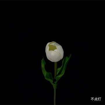 フラワースティックライト チューリップ ホワイト