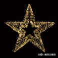 ホログラムリボン スター100