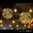 エクセラブーケット50