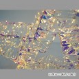 ホログラムリボン スター60