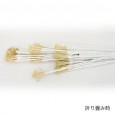 グレイスツリー180