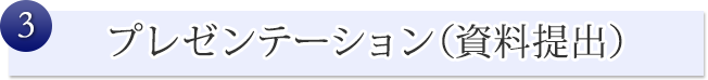 プレゼンテーション（資料提出）