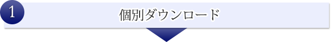 個別ダウンロード