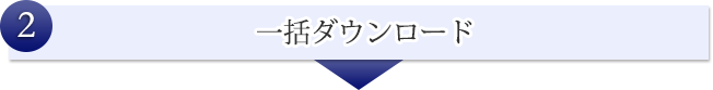 個別ダウンロード